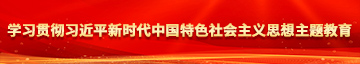 在线观看美女被外国人操学习贯彻习近平新时代中国特色社会主义思想主题教育